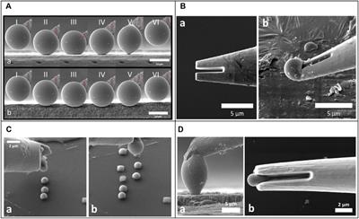 Frontiers  Advances in assembled micro- and nanoscale mechanical contact  probes