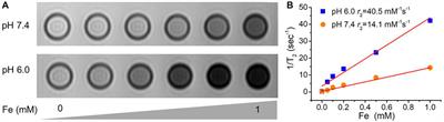 Cerium oxide nanoparticles with antioxidant capabilities and gadolinium  integration for MRI contrast enhancement