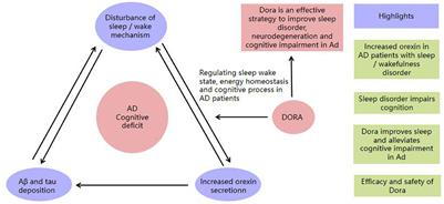 Frontiers | Effect of a dual orexin receptor antagonist on Alzheimer's ...