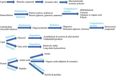 Frontiers | Hydrothermal treatment: An efficient food waste disposal ...