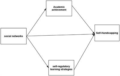 Frontiers | The effect of social networks on academic self-handicapping ...