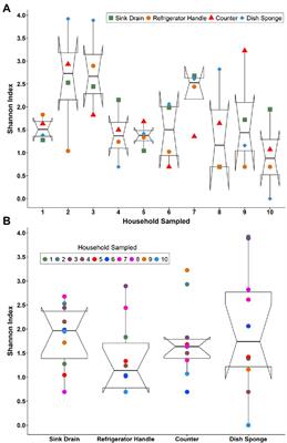 Microbiome analysis and confocal microscopy of used kitchen sponges reveal  massive colonization by Acinetobacter, Moraxella and Chryseobacterium  species