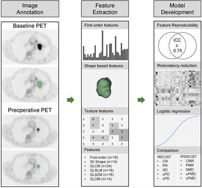 Frontiers | Comprehensive 18F-FDG PET-based radiomics in elevating the ...