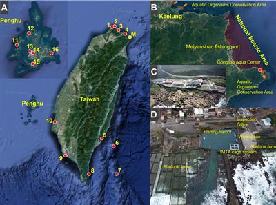 Ocean cage culture offers new possibilities for India's coastal areas