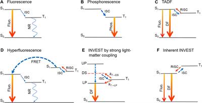 Frontiers | Organic molecules with inverted singlet-triplet gaps