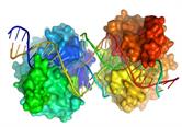 In Silico Methods for Drug Design and Discovery | Frontiers Research Topic