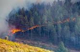 Impact of Fire on Biodiversity | Frontiers Research Topic