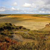 Vegetation-based Degradation and Restoration on the Alpine Grasslands ...