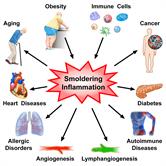 Smoldering Inflammation in Cardio-Immune-Metabolic Diseases | Frontiers ...