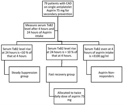 Frontiers  The efficacy of topical 0.1% mometasone furoate for treating  symptomatic severe phimosis: A comparison of two treatment regimens