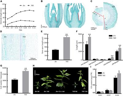 Frontiers  Effects of Flooding and Endogenous Hormone on the Formation of  Knee Roots in Taxodium ascendens