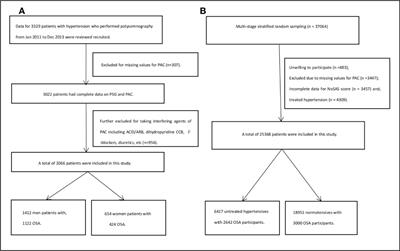 Frontiers  Effect of the renin-angiotensin system on the exacerbation of  adrenal glucocorticoid steroidogenesis in diabetic mice: Role of  angiotensin-II type 2 receptor