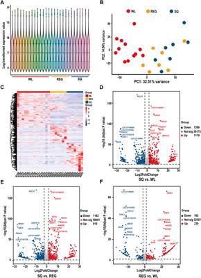 Keystone: Chromatin Architecture in Development and Human Health