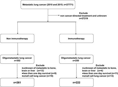 Frontiers | The Effect of immunotherapy on oligometastatic non-small ...