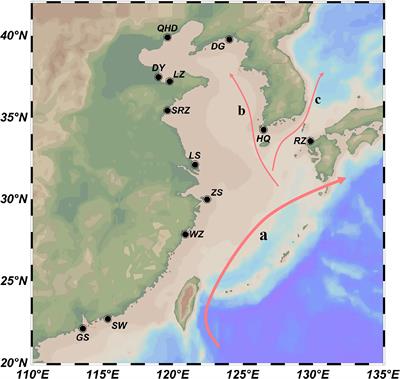 Frontiers  Exploring the application of Corynebacterium glutamicum single  cell protein in the diet of flathead grey mullet (Mugil cephalus): effects  on growth performance, digestive enzymes activity and gut microbiota