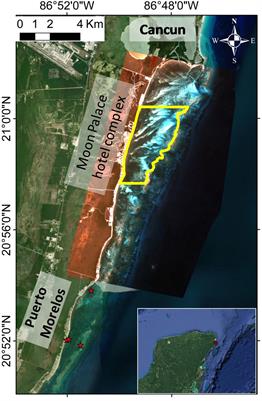 Frontiers  Piscine predation rates vary relative to habitat, but not  protected status, in an island chain with an established marine reserve