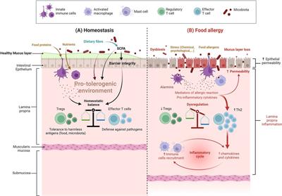 Frontiers | Perinatal exposure to foodborne inorganic nanoparticles: A ...