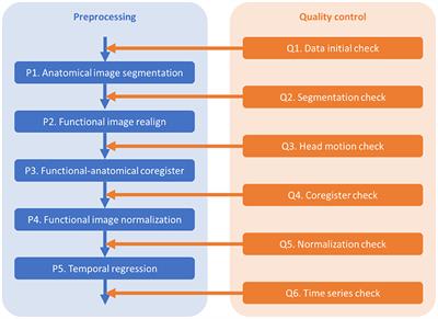 Frontiers  Automated Skull Stripping in Mouse Functional Magnetic  Resonance Imaging Analysis Using 3D U-Net