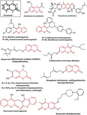 Frontiers | Coumarin-1,2,3-triazole hybrids as leading-edge anticancer ...