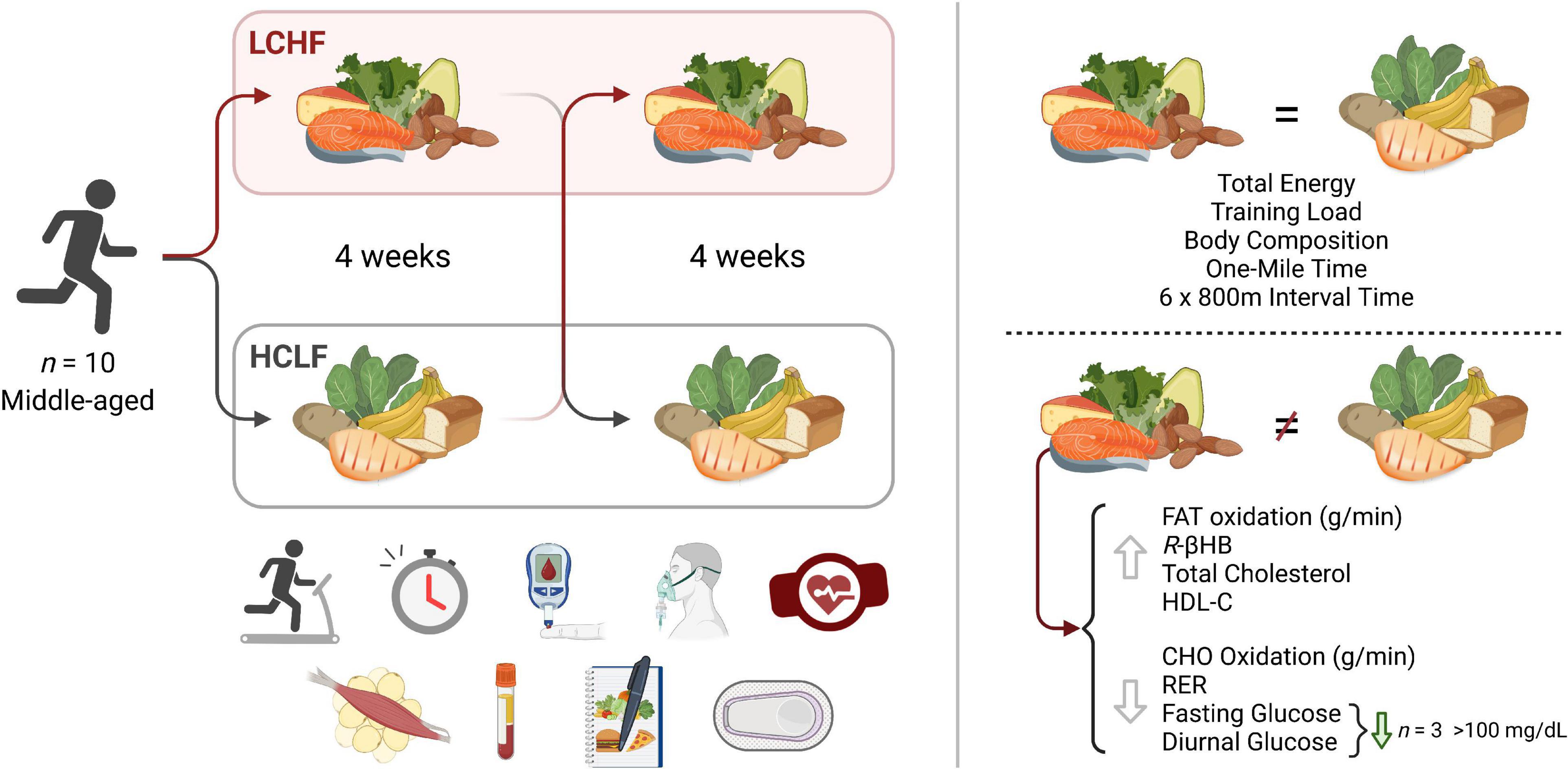 Frontiers   Low and high carbohydrate isocaloric diets on ...