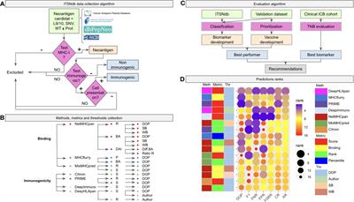 Frontiers Deciphering Comprehensive Features Of Tumor