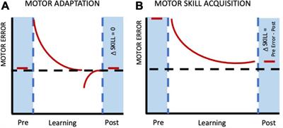 Frontiers  Considering the need for movement variability in motor