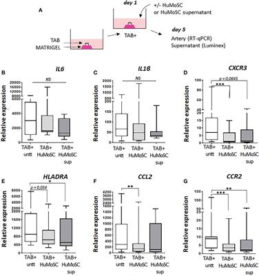 Frontiers  Extracorporeal photopheresis as an immunomodulatory treatment  modality for chronic GvHD and the importance of emerging biomarkers