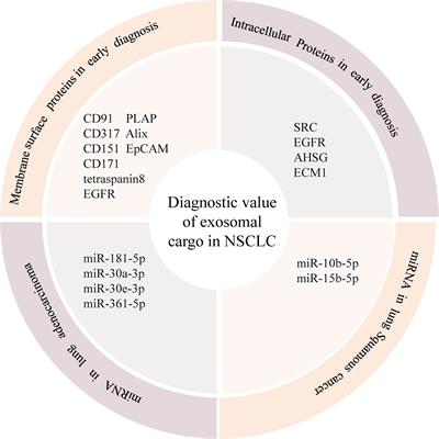 Frontiers  A maladaptive pleural environment suppresses preexisting  anti-tumor activity of pleural infiltrating T cells