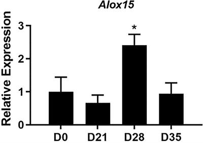 Frontiers  Sciatic–Vagal Nerve Stimulation by Electroacupuncture  Alleviates Inflammatory Arthritis in Lyme Disease-Susceptible C3H Mice