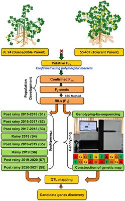 Frontiers Identification Of Genomic Associations For Plant