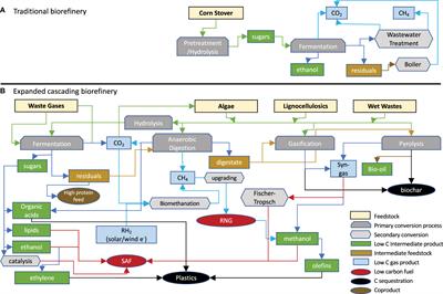 Frontiers | Perspectives on biorefineries in microbial production of ...