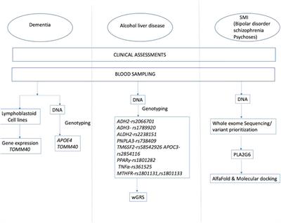 Frontiers  Behavioral and neuropsychiatric challenges across the