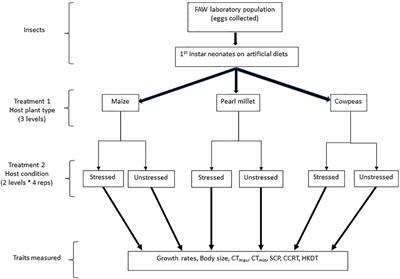 Frontiers  Fall armyworm from a maize multi-peril pest risk perspective