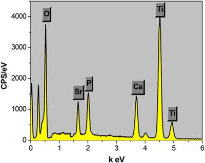 Frontiers | A cytocompatible microporous Sr-doped titanium dioxide ...