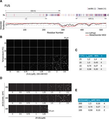 Frontiers | Predicting disordered regions driving phase separation of ...