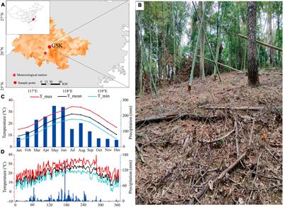 Frontiers in Forests and Global Change