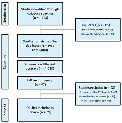 Frontiers  Intrafamilial variability in SLC6A1-related neurodevelopmental  disorders