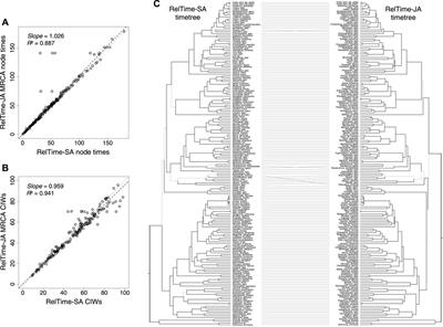 Frontiers  Estimated Divergence Times of Lecanicillium in the Family  Cordycipitaceae Provide Insights Into the Attribution of Lecanicillium