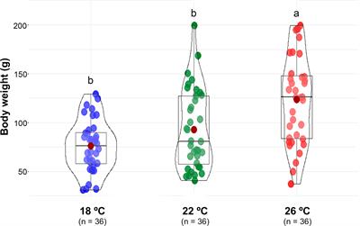 Frontiers  Exploring the application of Corynebacterium glutamicum single  cell protein in the diet of flathead grey mullet (Mugil cephalus): effects  on growth performance, digestive enzymes activity and gut microbiota