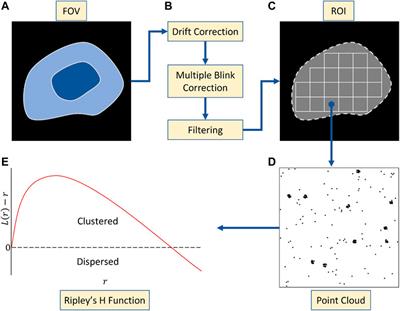 What are the Do's and Don'ts while analysing data?