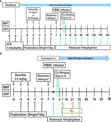 Frontiers | Abatacept and T-cell costimulation blockade—shifting the ...