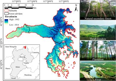 Frontiers in Forests and Global Change