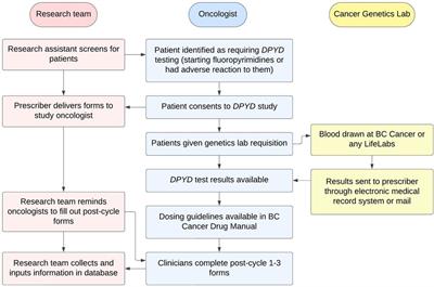 Frontiers  Pharmacogenetics of pediatric acute lymphoblastic leukemia in  Uruguay: adverse events related to induction phase drugs