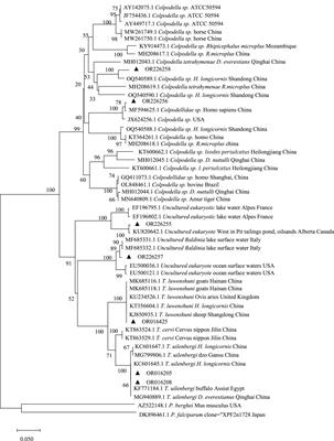 Frontiers  C500 variants conveying complete mucosal immunity