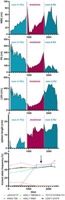 Frontiers  Myeloproliferative neoplasms – blurring the lines