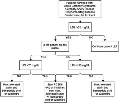 Frontiers  The Emerging Role of Rho Guanine Nucleotide Exchange Factors in  Cardiovascular Disorders: Insights Into Atherosclerosis: A Mini Review