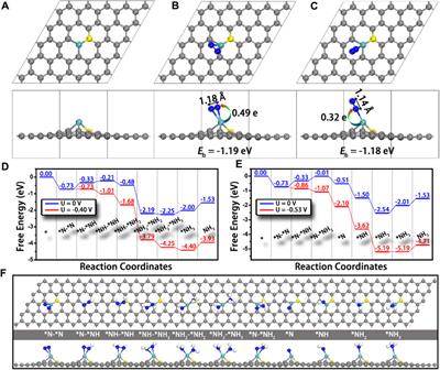 Frontiers | DFT-assisted low-dimensional carbon-based electrocatalysts ...