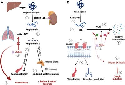 Frontiers  Pharmacogenetics of pediatric acute lymphoblastic leukemia in  Uruguay: adverse events related to induction phase drugs