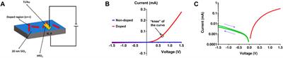 Frontiers | DNA-based doping and fabrication of PN diodes