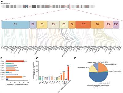 Frontiers  Classification of breed combinations for slaughter pigs based  on genotypes—modeling DNA samples of crossbreeds as fuzzy sets from  purebred founders